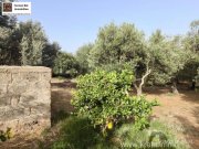 Timpaki Klima Kreta Timbaki außergewöhnliches Baugrundstück Meer- und Bergblick Grundstück kaufen